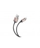 Dausen TR-RI1032GD Aluminum Lightning to USB Charging  Cable  1.2 M